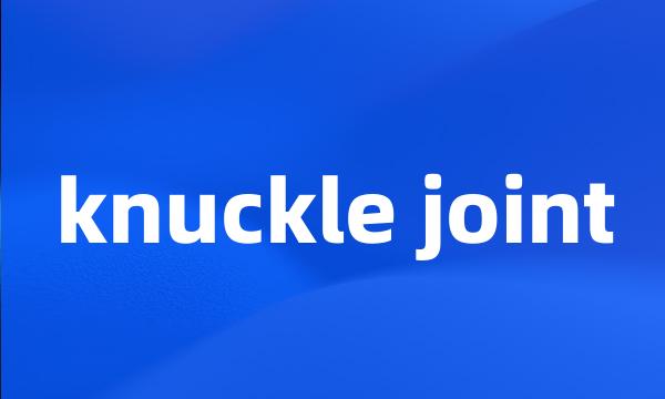 knuckle joint