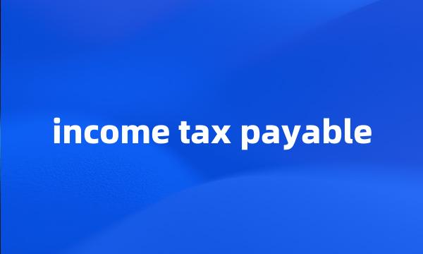 income tax payable