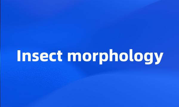 Insect morphology