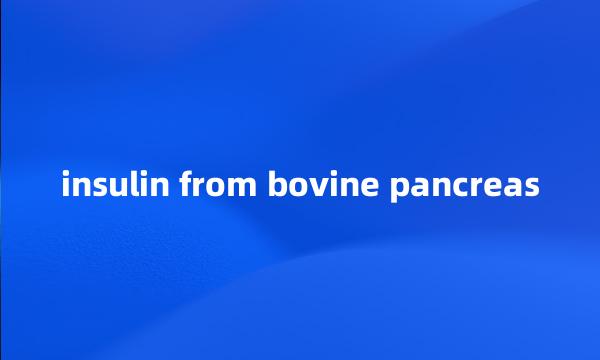 insulin from bovine pancreas