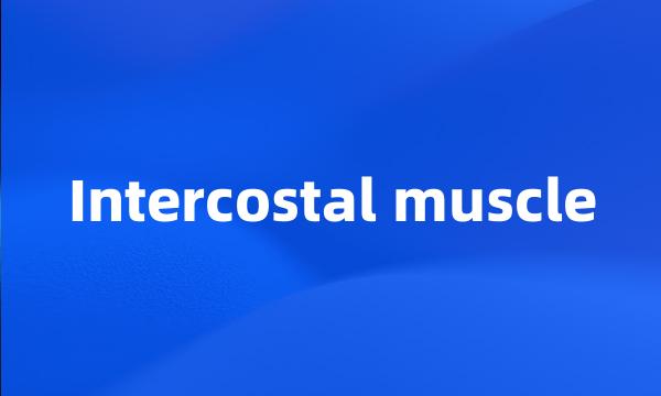 Intercostal muscle