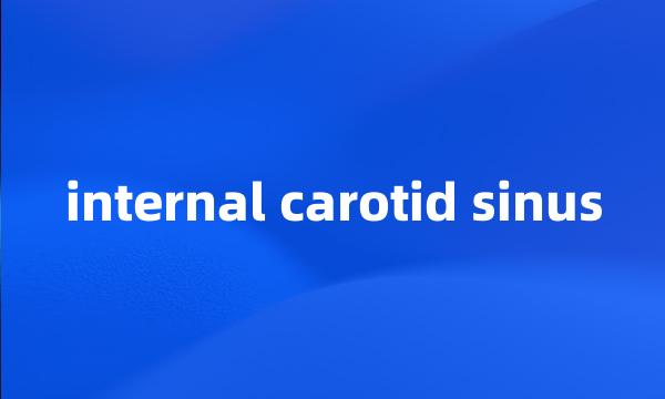 internal carotid sinus