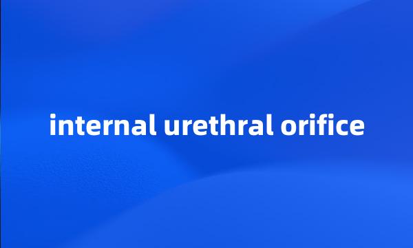 internal urethral orifice