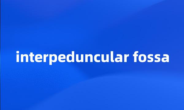 interpeduncular fossa