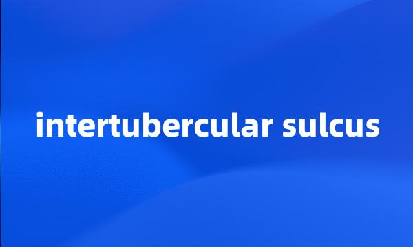 intertubercular sulcus