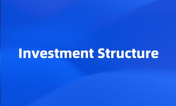 Investment Structure