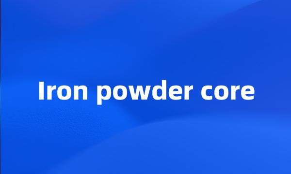 Iron powder core