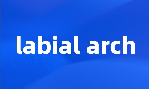 labial arch