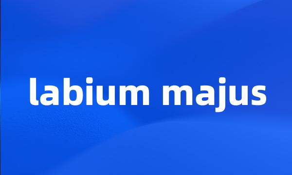 labium majus