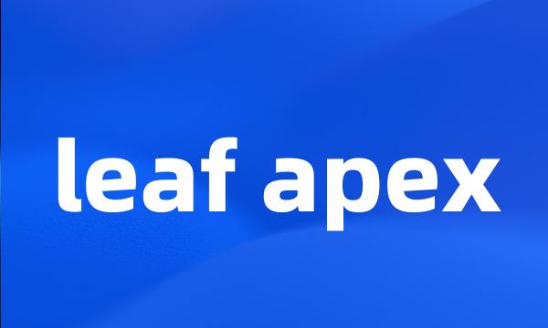 leaf apex