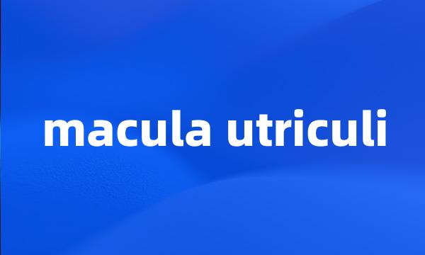 macula utriculi