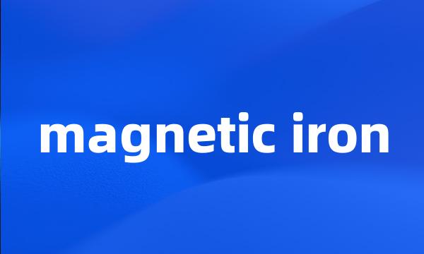 magnetic iron