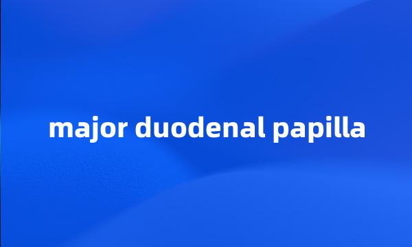 major duodenal papilla