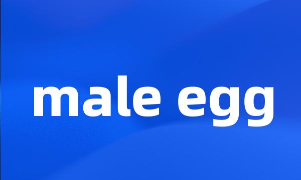 male egg