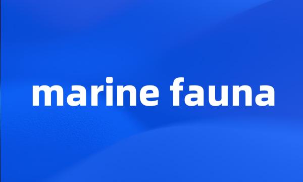 marine fauna