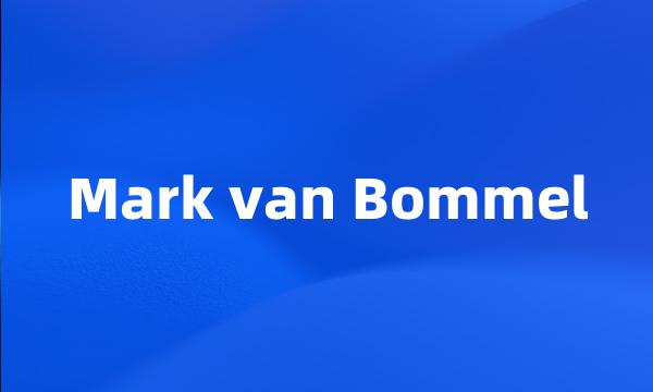 Mark van Bommel