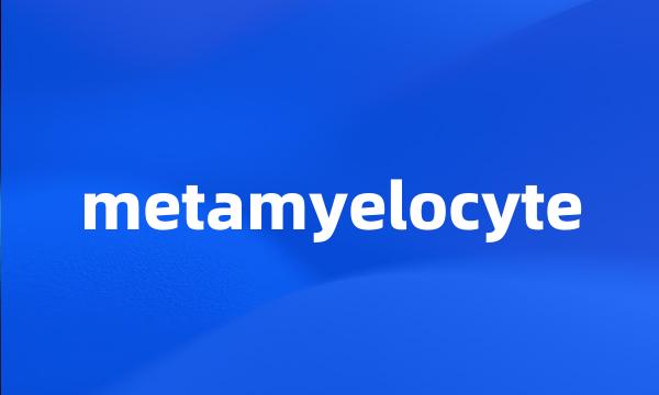 metamyelocyte