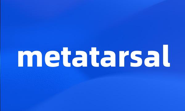 metatarsal