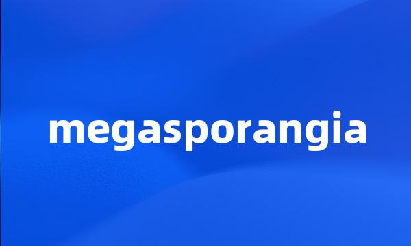 megasporangia