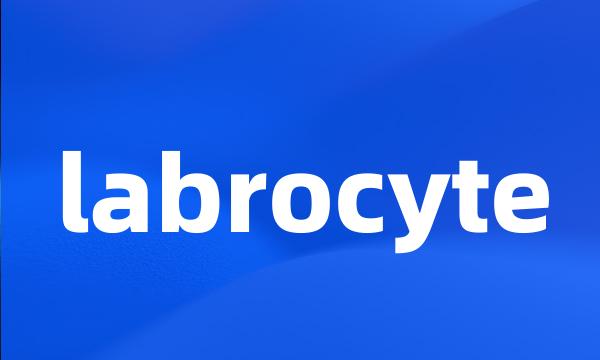 labrocyte