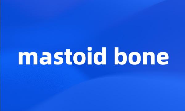 mastoid bone