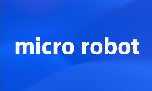 micro robot