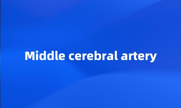 Middle cerebral artery