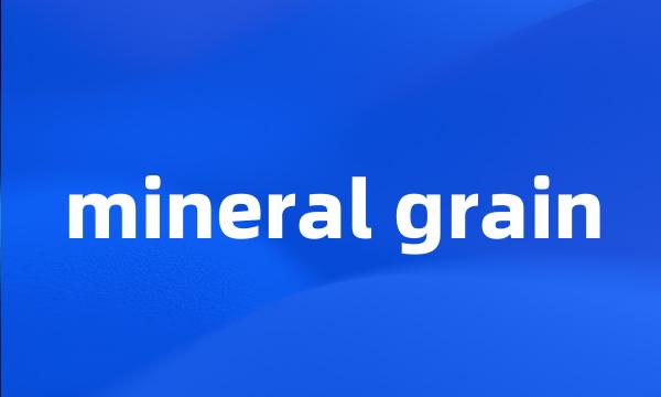 mineral grain