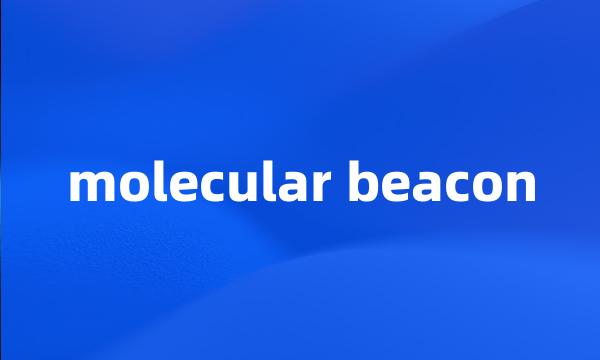 molecular beacon