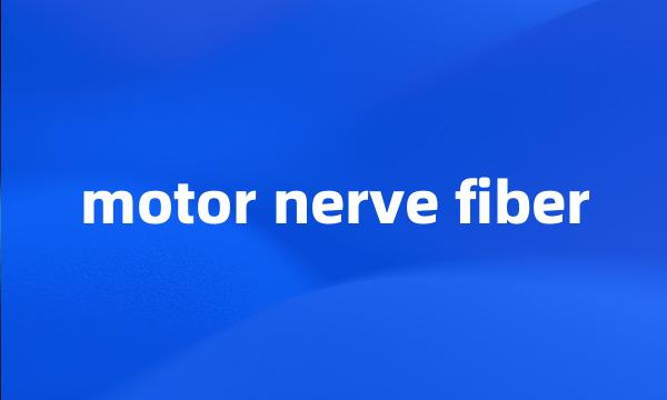 motor nerve fiber