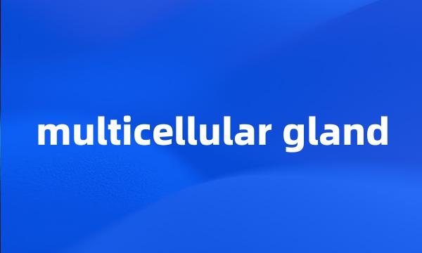 multicellular gland