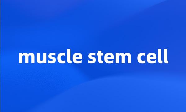 muscle stem cell