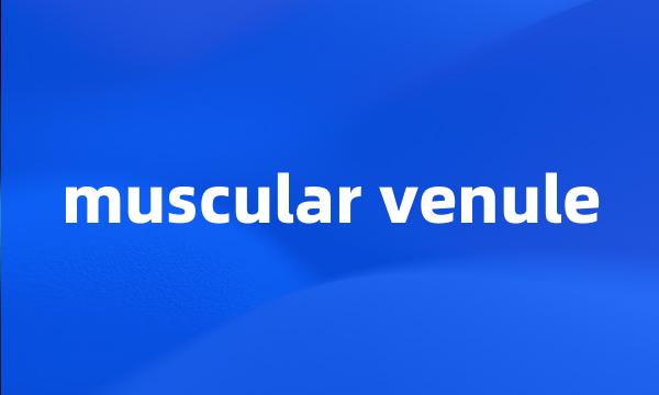 muscular venule