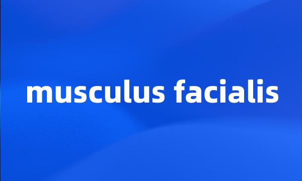 musculus facialis