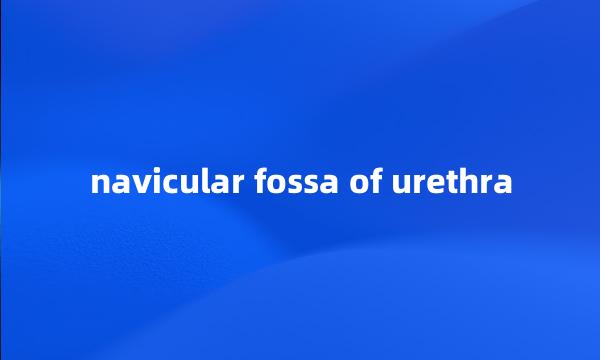 navicular fossa of urethra