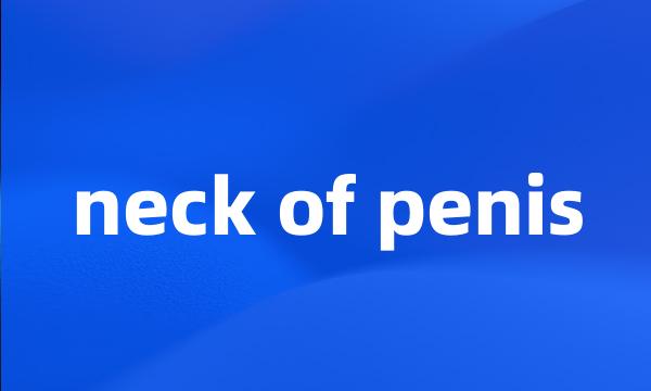 neck of penis