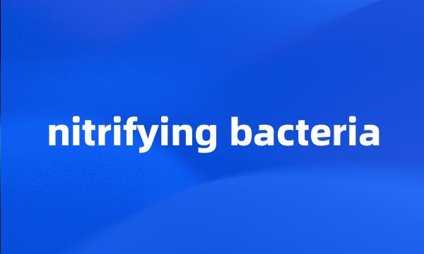 nitrifying bacteria