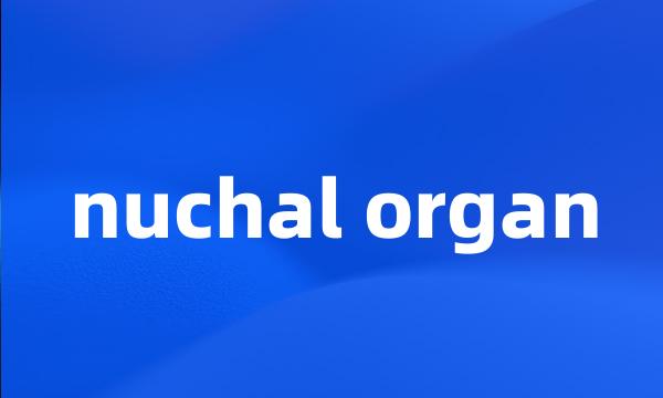 nuchal organ