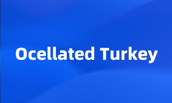 Ocellated Turkey