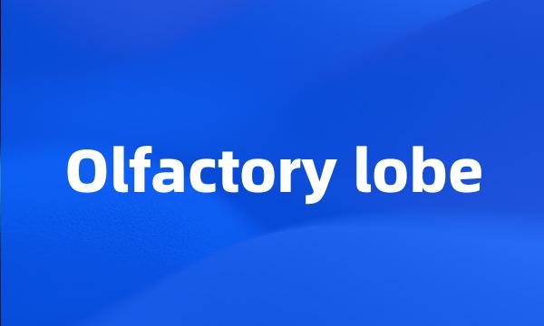 Olfactory lobe