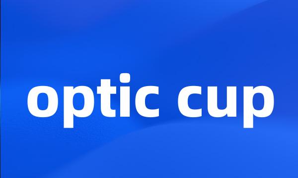 optic cup