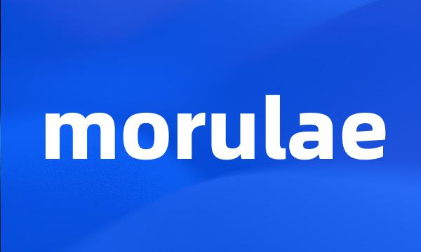 morulae