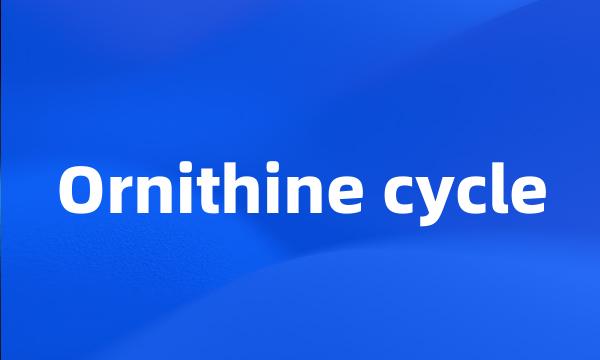 Ornithine cycle