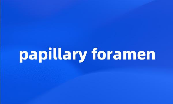 papillary foramen