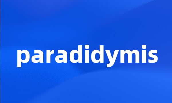 paradidymis