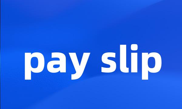 pay slip