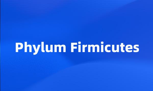 Phylum Firmicutes