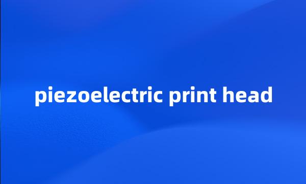 piezoelectric print head