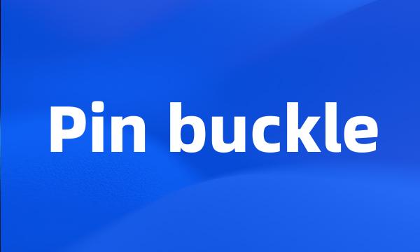 Pin buckle