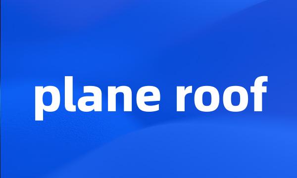 plane roof